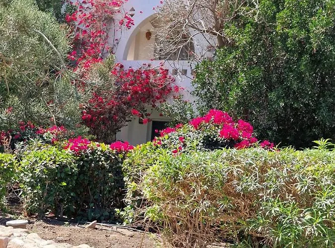 One-bedroom In Domina Coral Bay Harem Appartamento Sharm el Sheikh